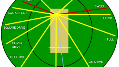 Cricket