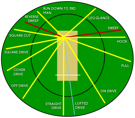 Cricket