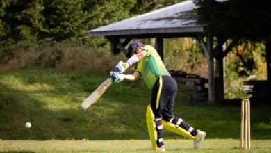 Master the Game: A Guide to the Cricket Best Shots